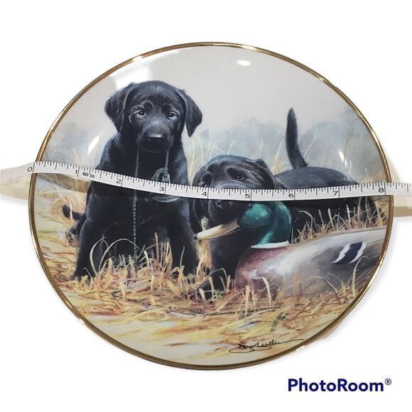 Franklin Mint BEGINNER'S LUCK Labrador Dog Collector Plate by James Killen - Picture 5 of 5